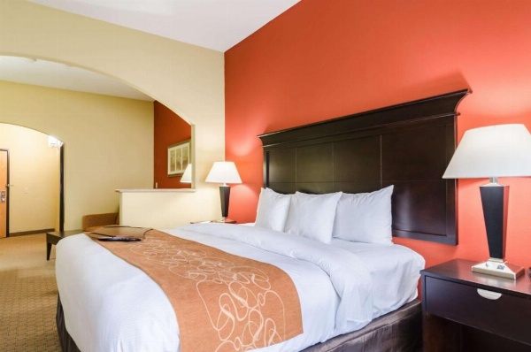 Comfort Suites Salina image 13