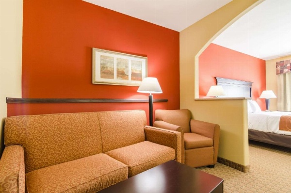 Comfort Suites Salina image 15