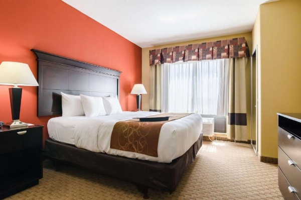 Comfort Suites Salina image 16